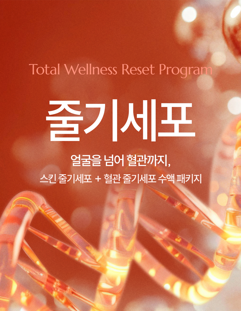 🧬 줄.기.세.포. 리셋 프로그램